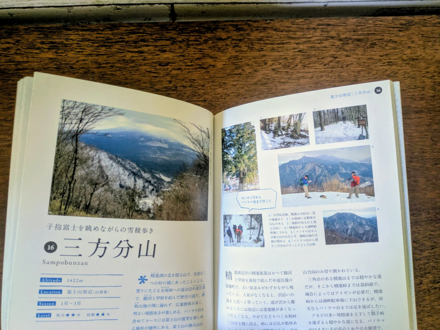 雪の近郊低山案内 関東版 山と溪谷社の写真3枚目