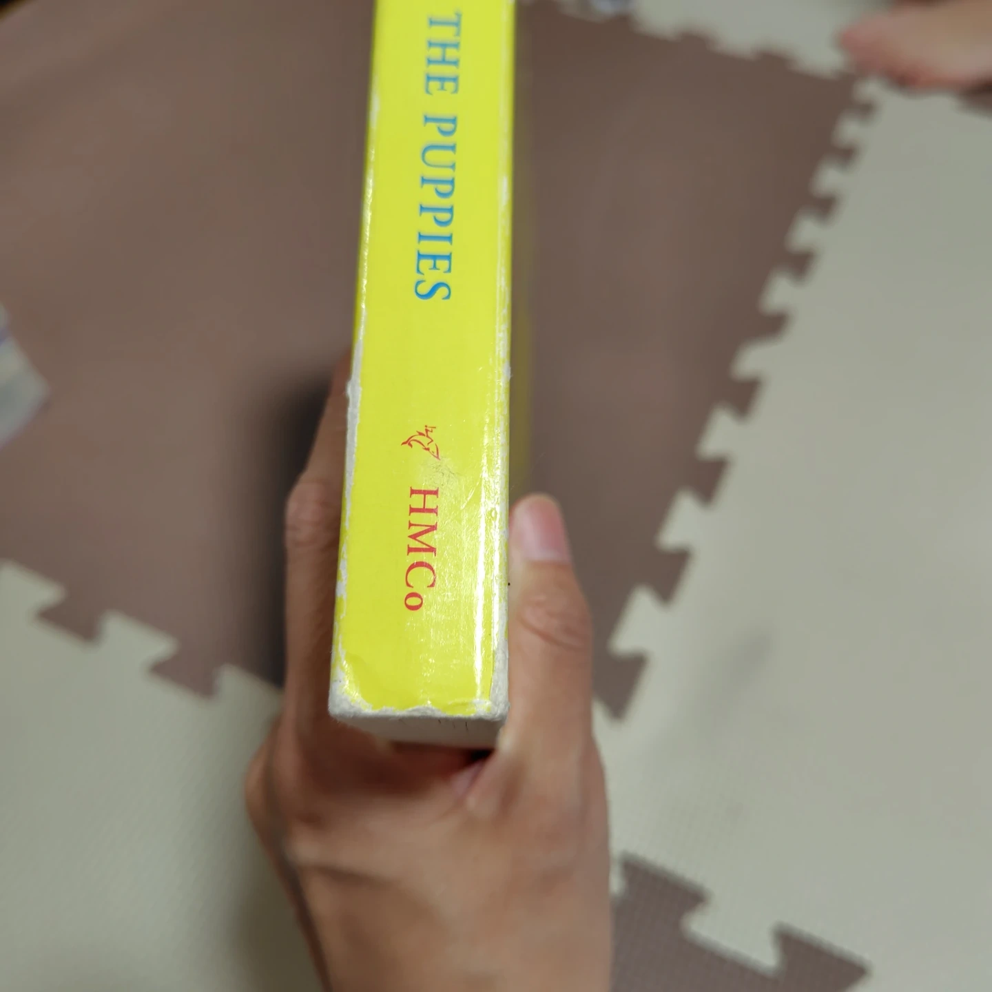 curious george and the puppies おさるのジョージの写真2枚目