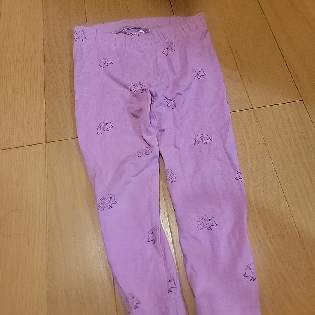 ハリネズミ柄 レギンス パンツ パープル