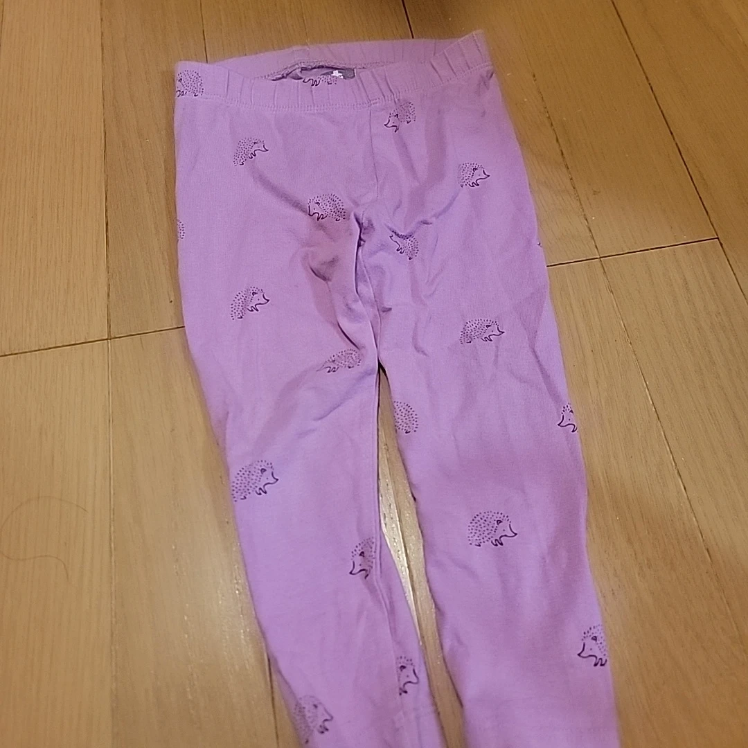 ハリネズミ柄 レギンス パンツ パープル