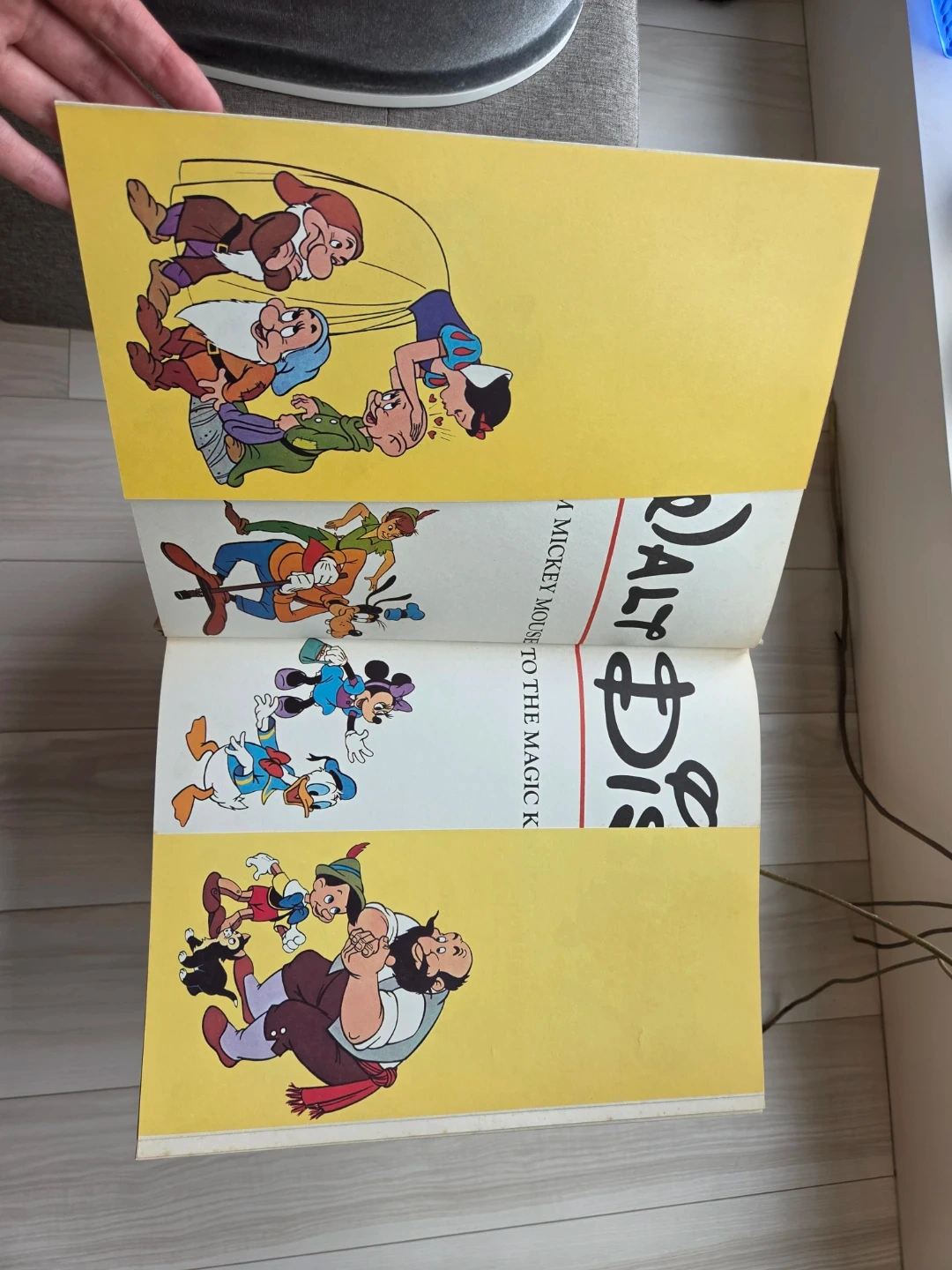 THE ART OF WALT DISNEY 洋書の写真3枚目