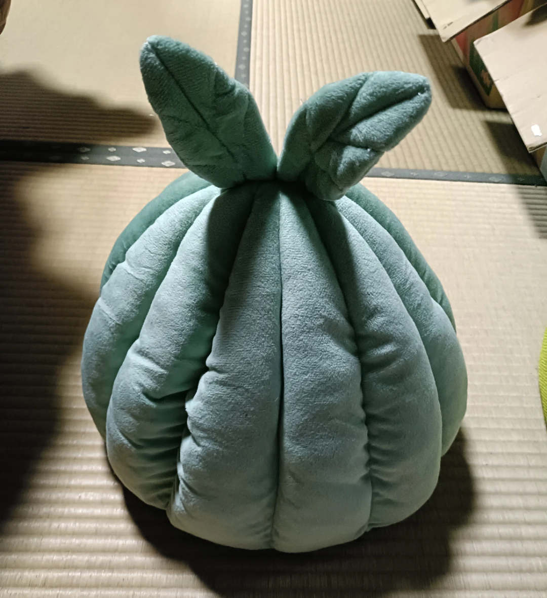 ペット用 ハウス ドーム型 グリーンの写真2枚目