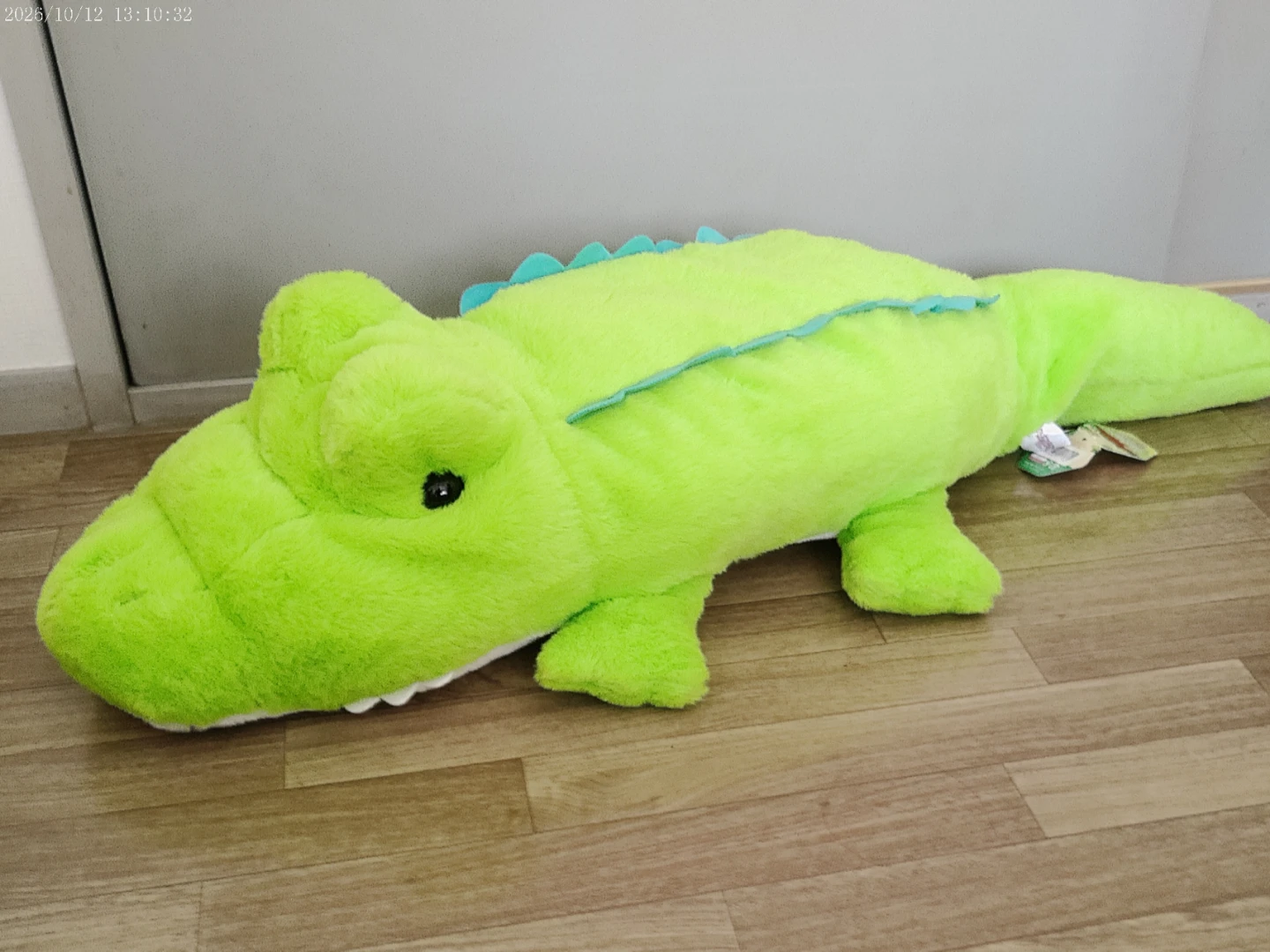 でっかい！ワニふわふわぬいぐるみ  100cm  グリーンの写真2枚目