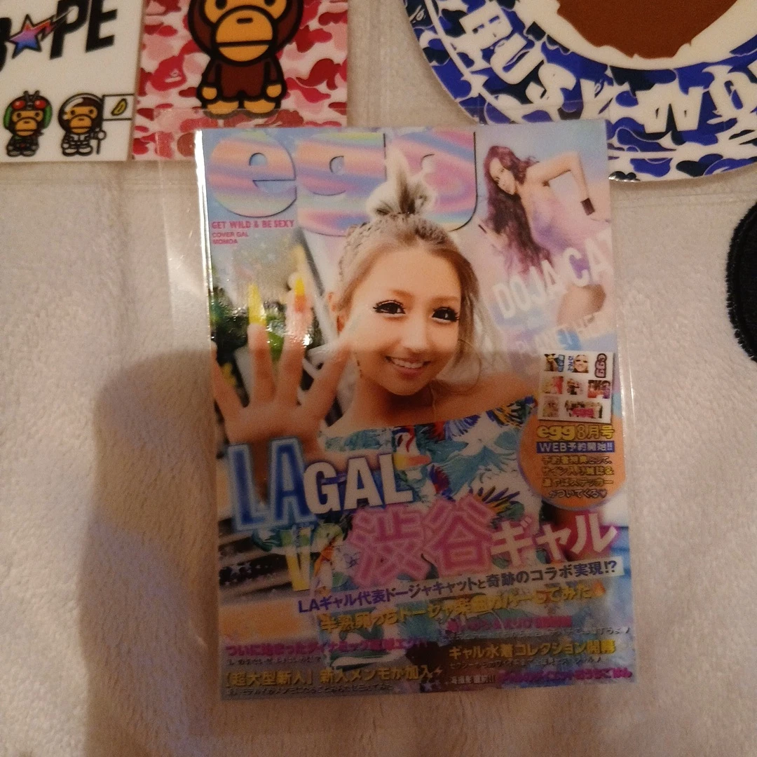 アベイシングエイプ ステッカーセット egg雑誌の写真4枚目