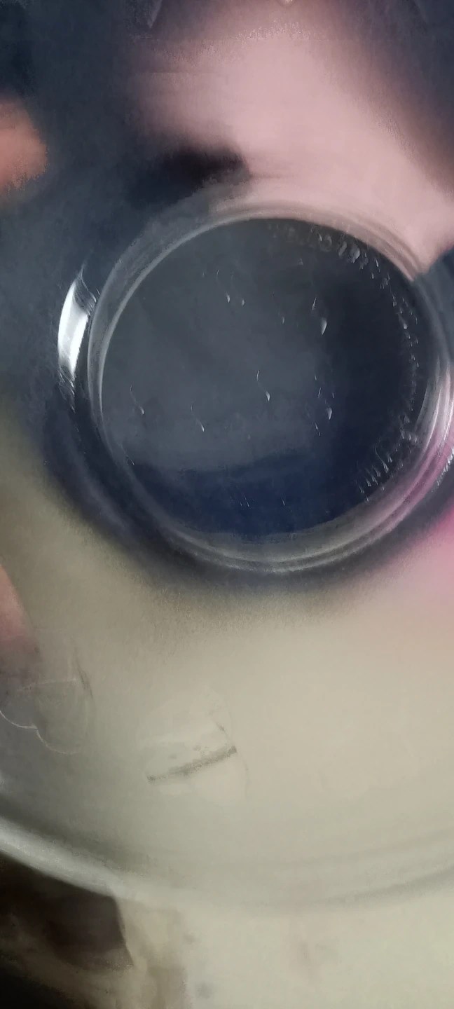 ハローキティ 40周年記念 ガラスボウルの写真2枚目