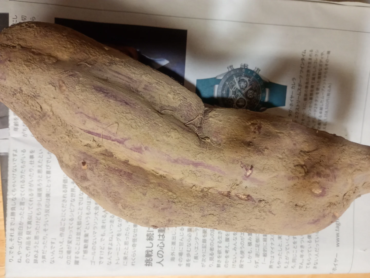 サツマイモ（紅あずま）