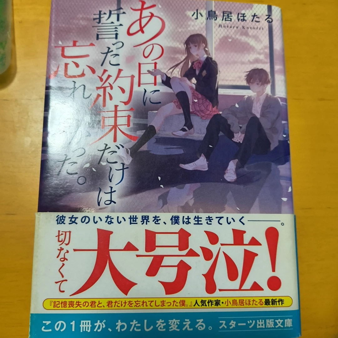あの日に誓った約束だけは忘れない