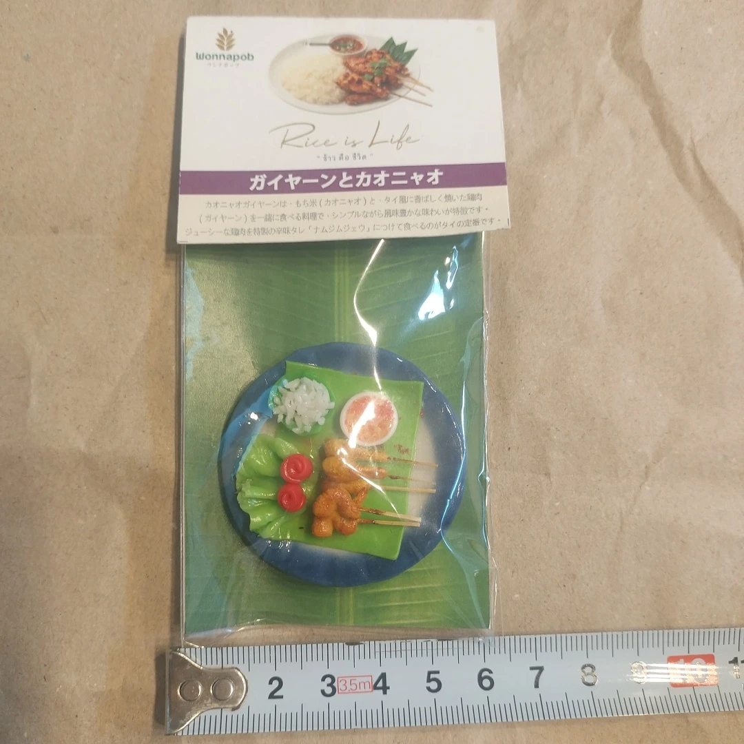 タイ料理  マグネット ガイヤーンとカオニャオ