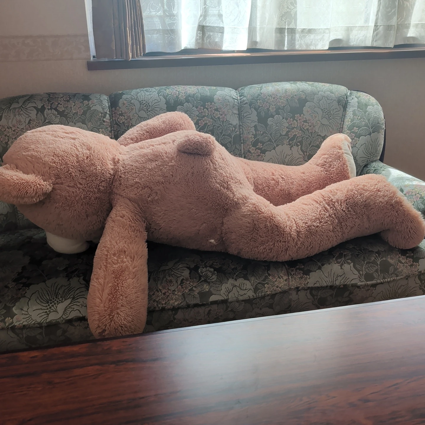 特大 くまのぬいぐるみ コストコ クマの写真4枚目