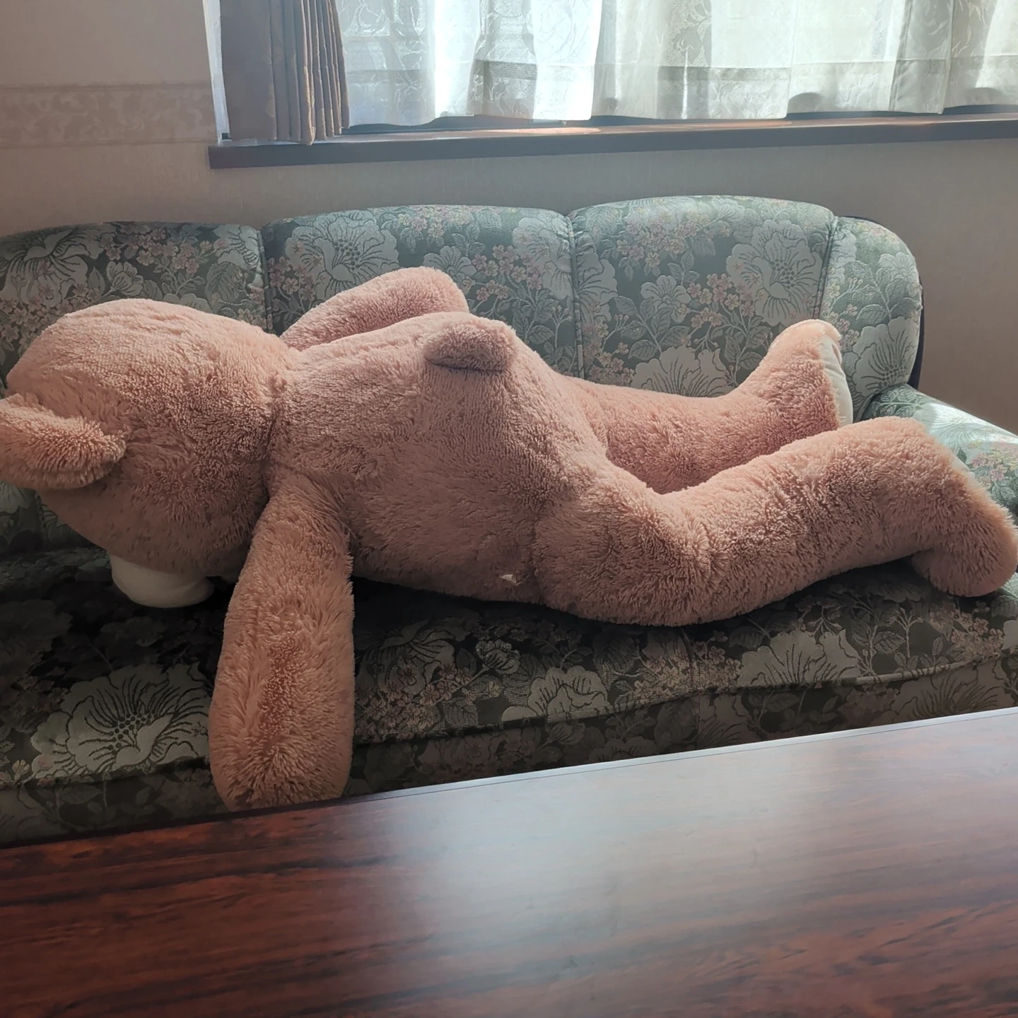 特大 くまのぬいぐるみ コストコ クマの写真4枚目