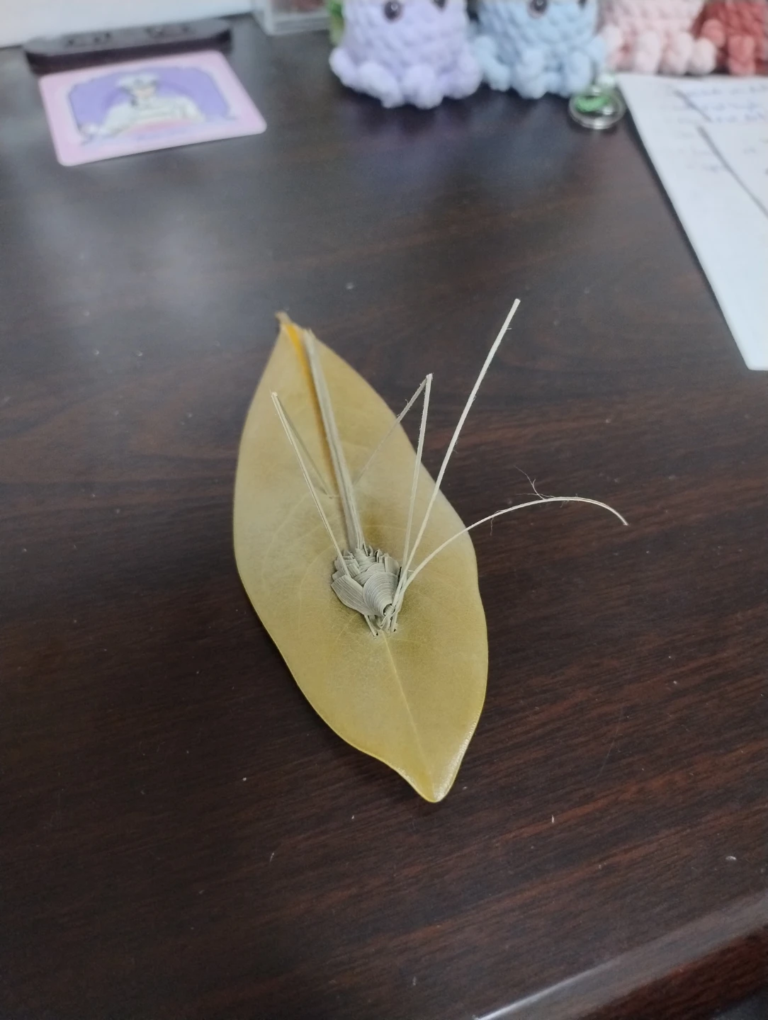 葉っぱで作ったバッタのアートの写真2枚目