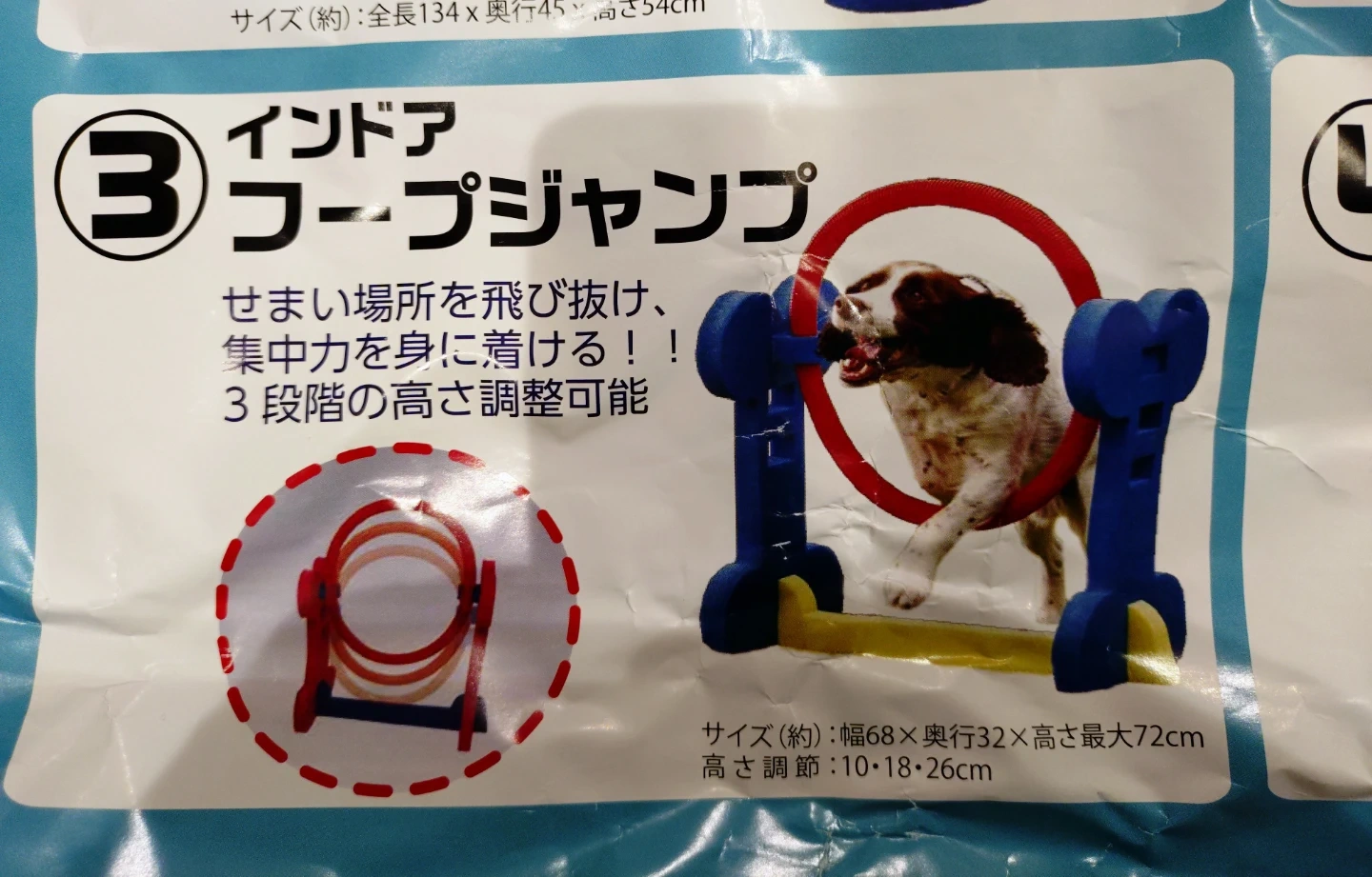 ジョイセレ インドアフープジャンプ アジリティ