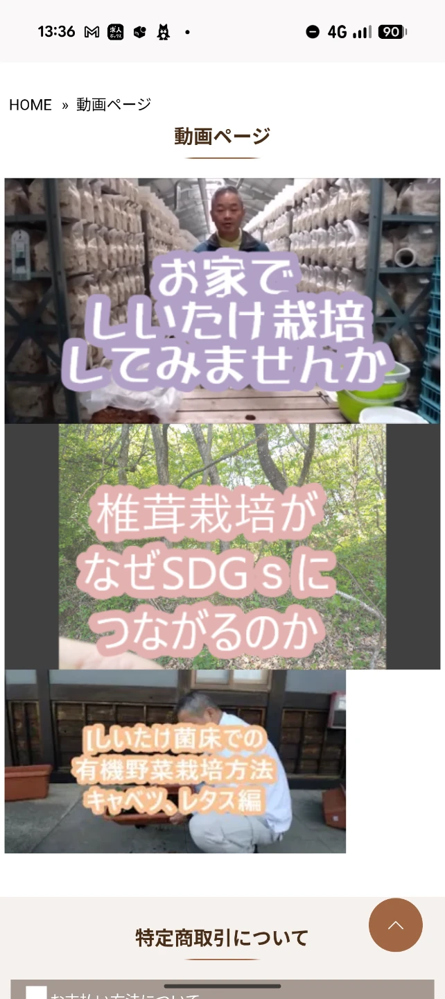 お子さんと！新品未開封 飛騨高山 きのこの里 家庭でしいたけ栽培キットの写真3枚目