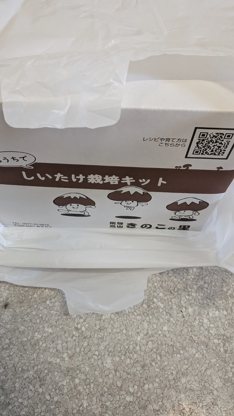 お子さんと！新品未開封 飛騨高山 きのこの里 家庭でしいたけ栽培キットの写真4枚目