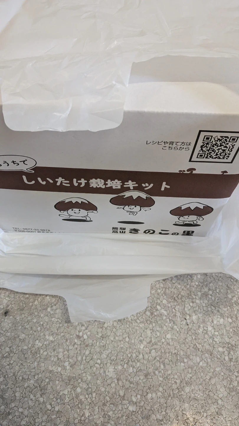 お子さんと!新品未開封 飛騨高山 きのこの里 家庭でしいたけ栽培キットの写真4枚目