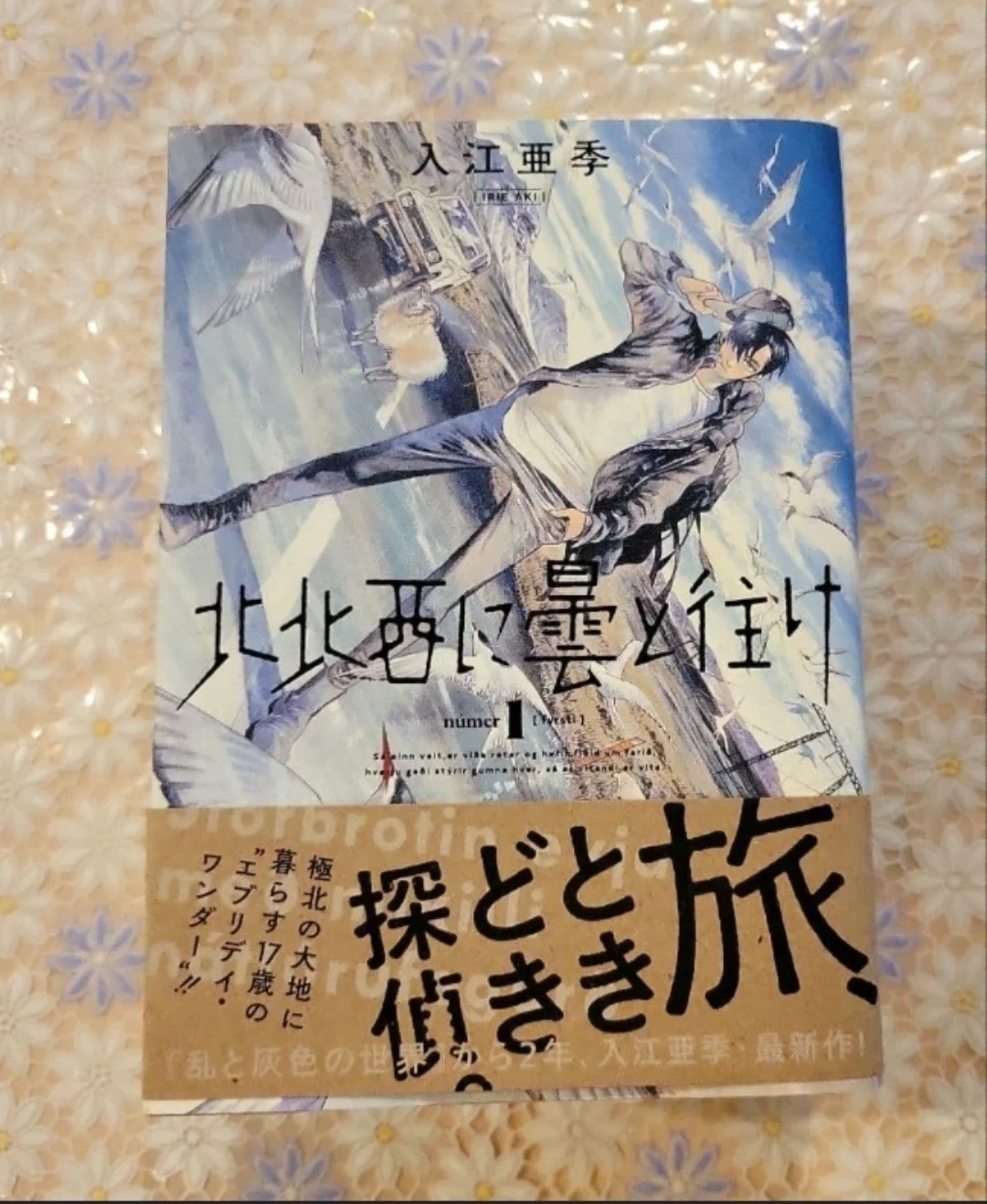 北北西に曇と往け 1〜5巻セット 入江亜季