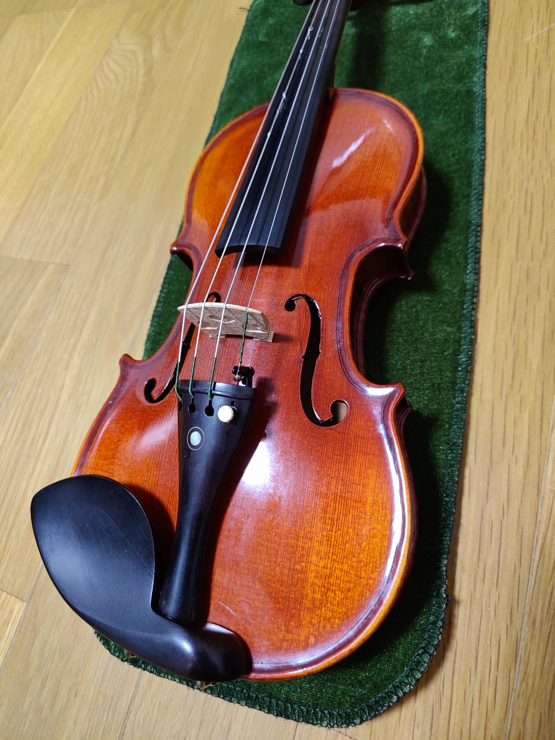 S.Albert SV-48 (1/4サイズ) (5点セット)の写真2枚目