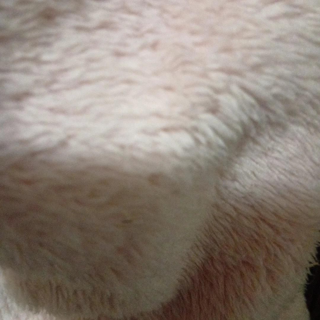 ユニクロ 80 ピンクくま耳 カバーオールの写真9枚目