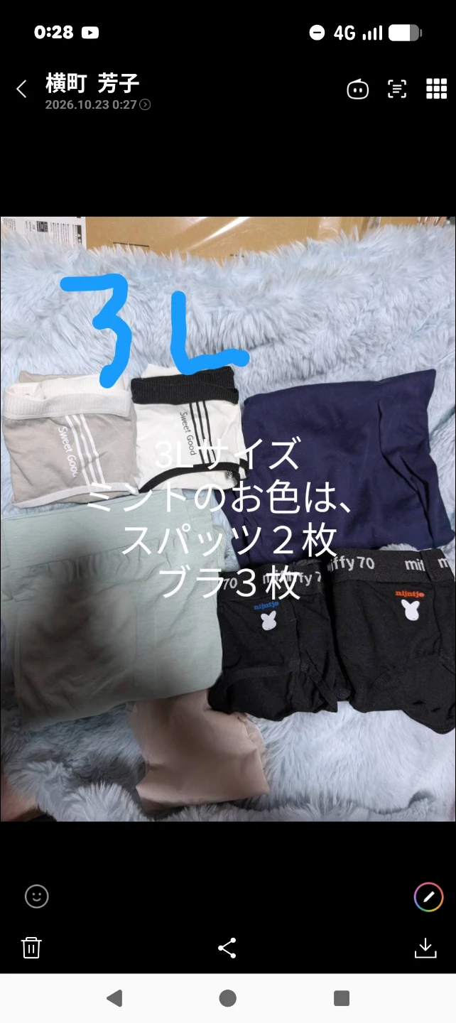 レディース 下着セット 3Lサイズ11枚セット