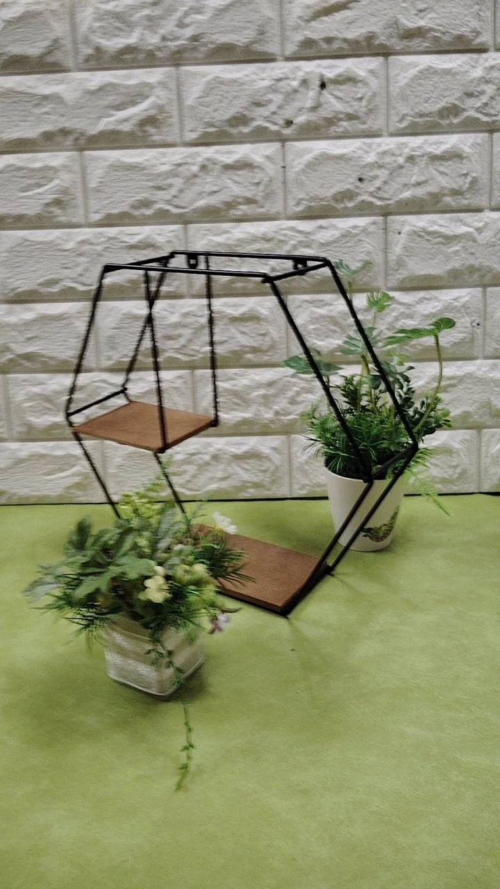 2種のグリーンの競合 六角形 アイアン2段式ラック観葉植物セット高さ27cmの写真3枚目