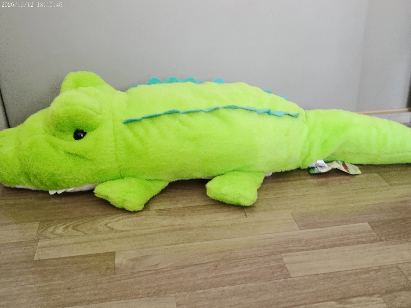でっかい！ワニふわふわぬいぐるみ  100cm  グリーンの写真3枚目
