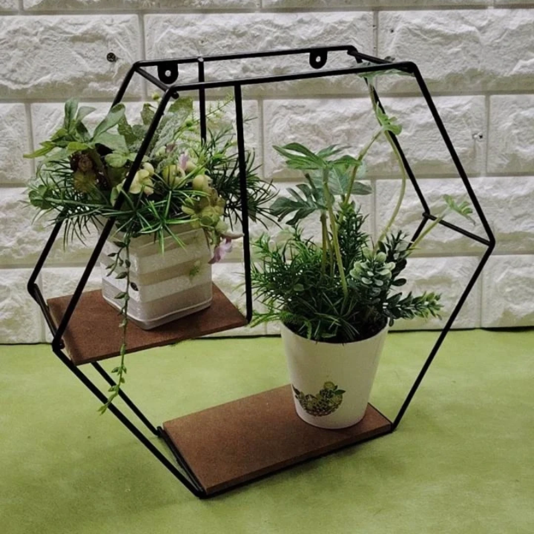 ２種のグリーンの競合　六角形 アイアン2段式ラック観葉植物セット高さ27cm