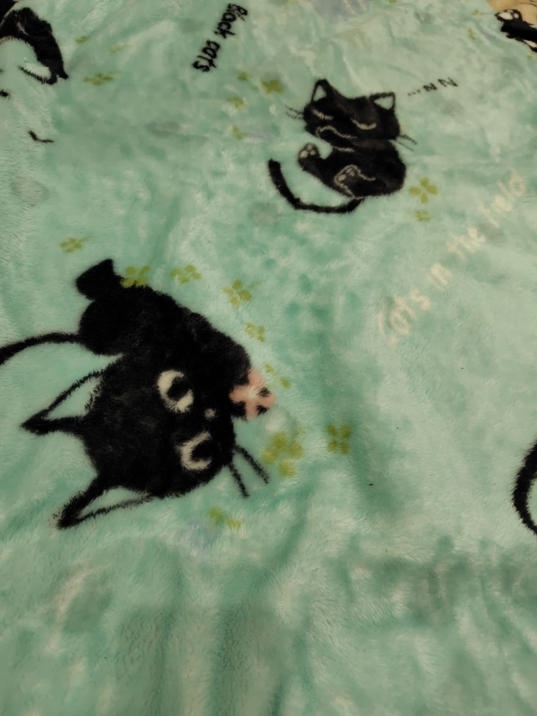 黒猫柄 ブランケット 毛布 水色の写真2枚目