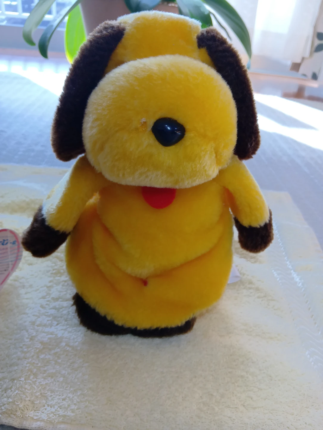 ムーミン＆まんまちゃんぬいぐるみ　戸塚駅受け渡しの写真5枚目