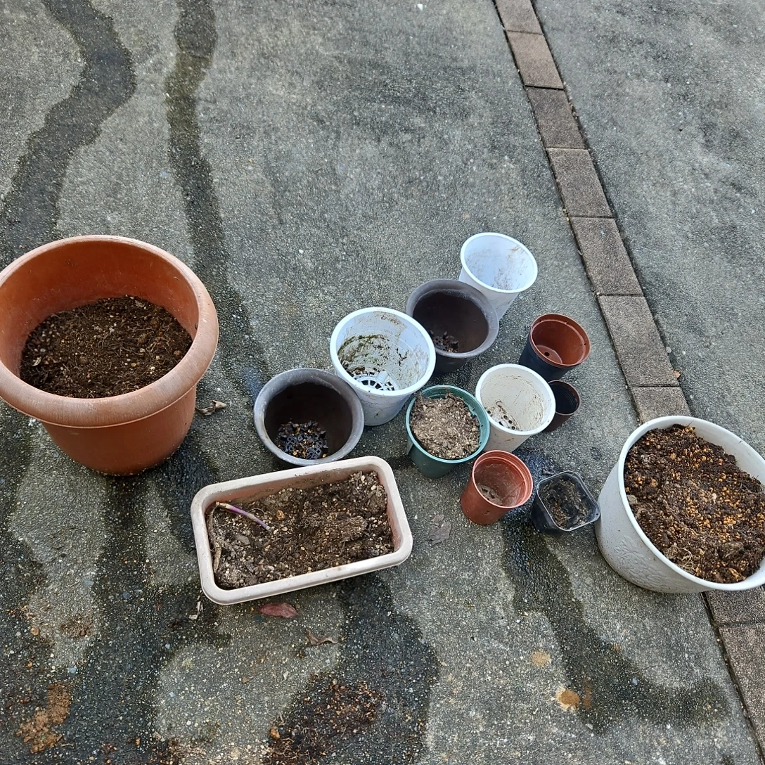 園芸用 植木鉢・プランター まとめ売りの写真2枚目