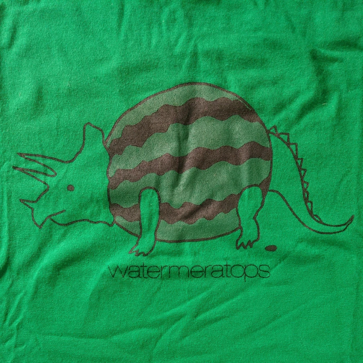 デリシャスグラフィックストア Tシャツ Lサイズ 緑 恐竜の写真2枚目