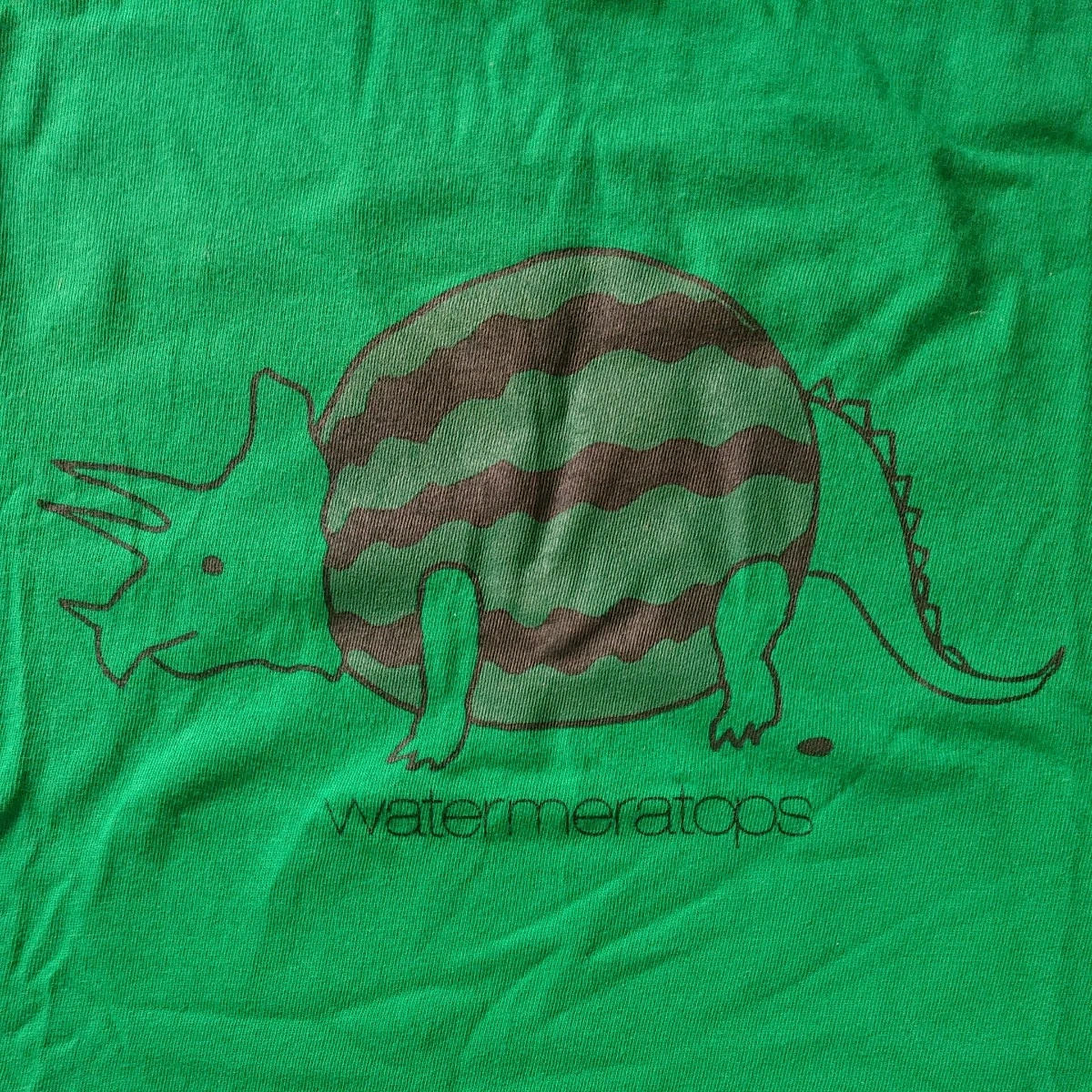 デリシャスグラフィックストア Tシャツ Lサイズ 緑 恐竜の写真2枚目