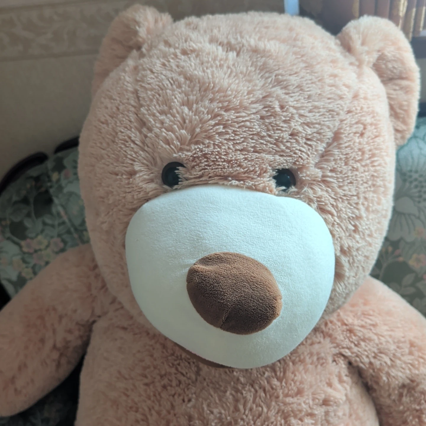 特大 くまのぬいぐるみ コストコ クマの写真3枚目