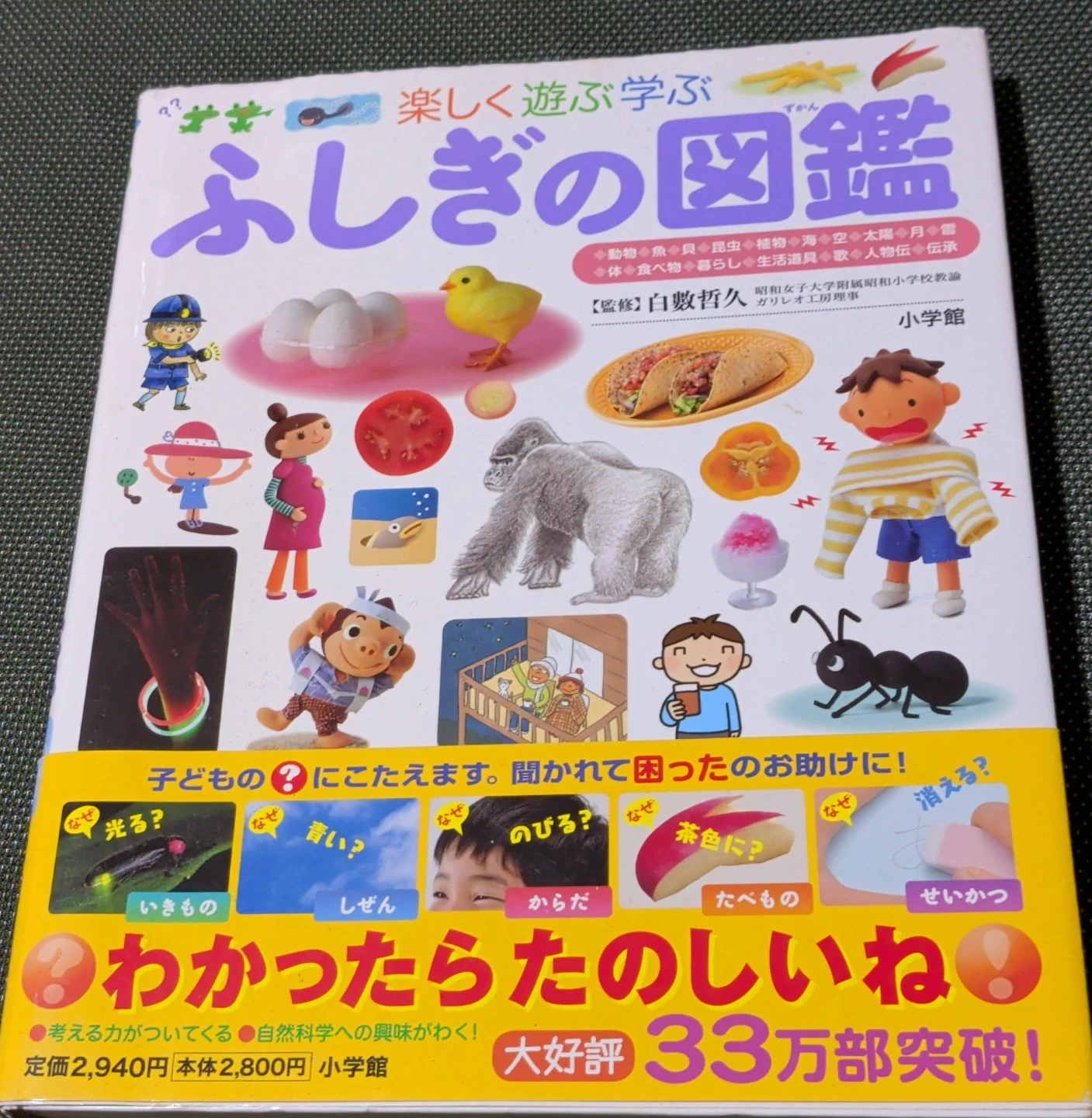 image indicator(1)